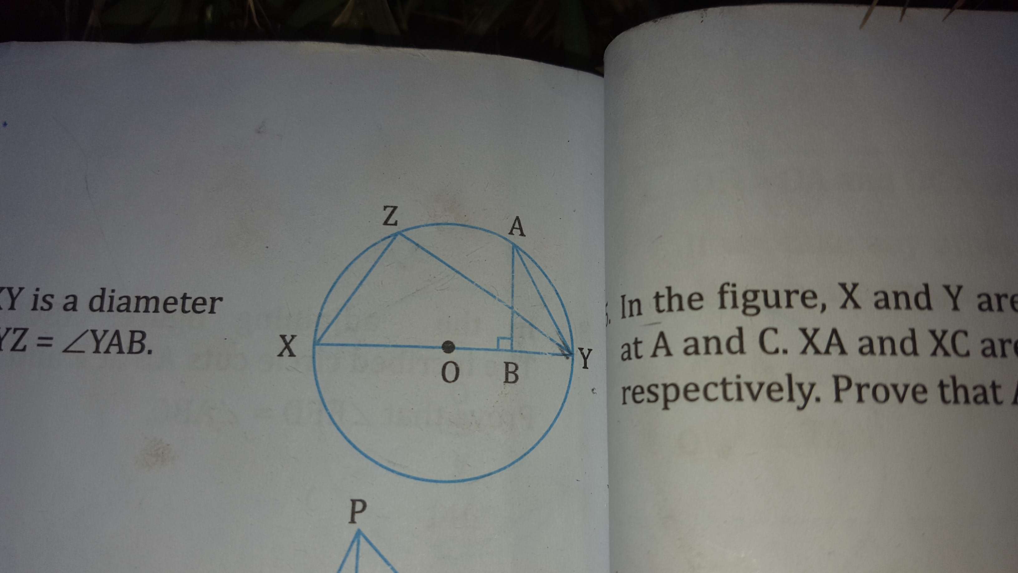 questionimage