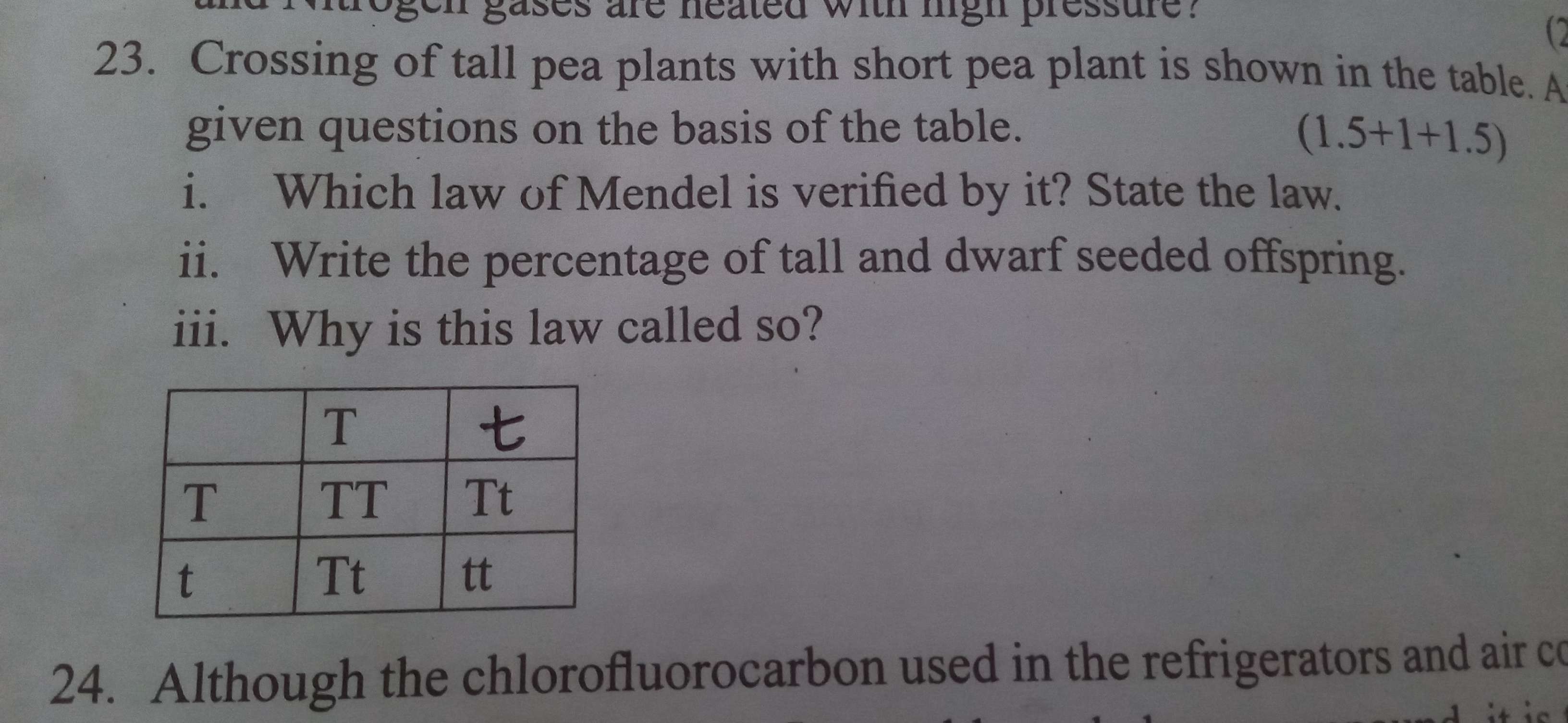 questionimage